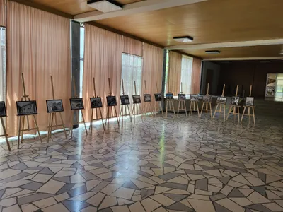 Gallery image 4