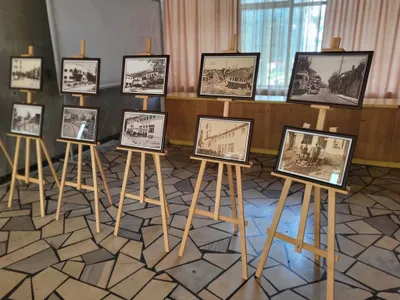 Gallery image 10