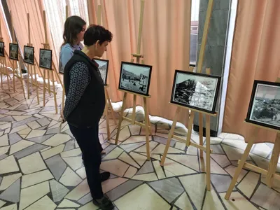 Gallery image 15